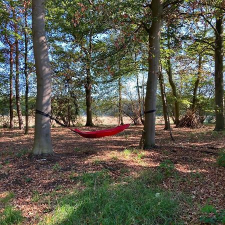 Zum Heuerling Ferienwohung Im Alten Stall Mit Sauna Versmold Buitenkant foto