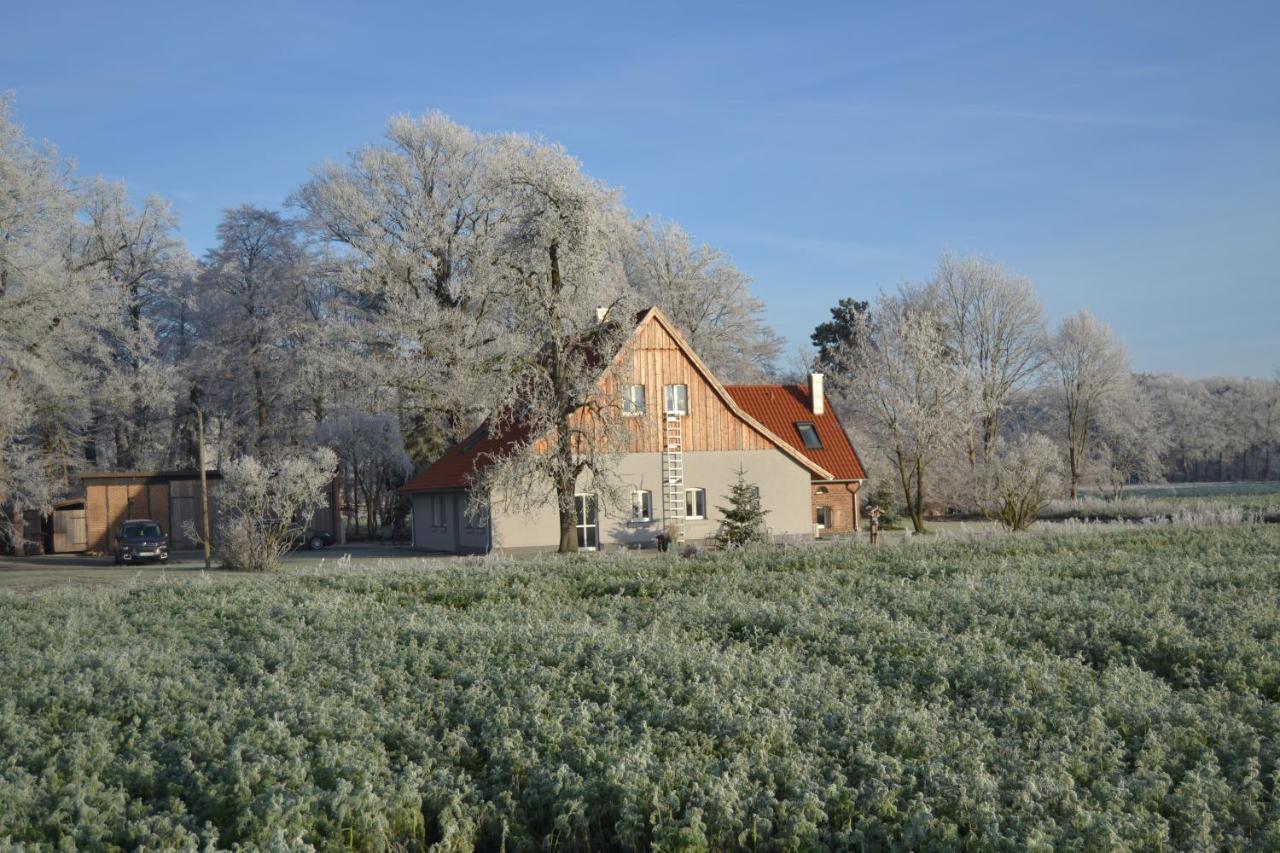 Zum Heuerling Ferienwohung Im Alten Stall Mit Sauna Versmold Buitenkant foto