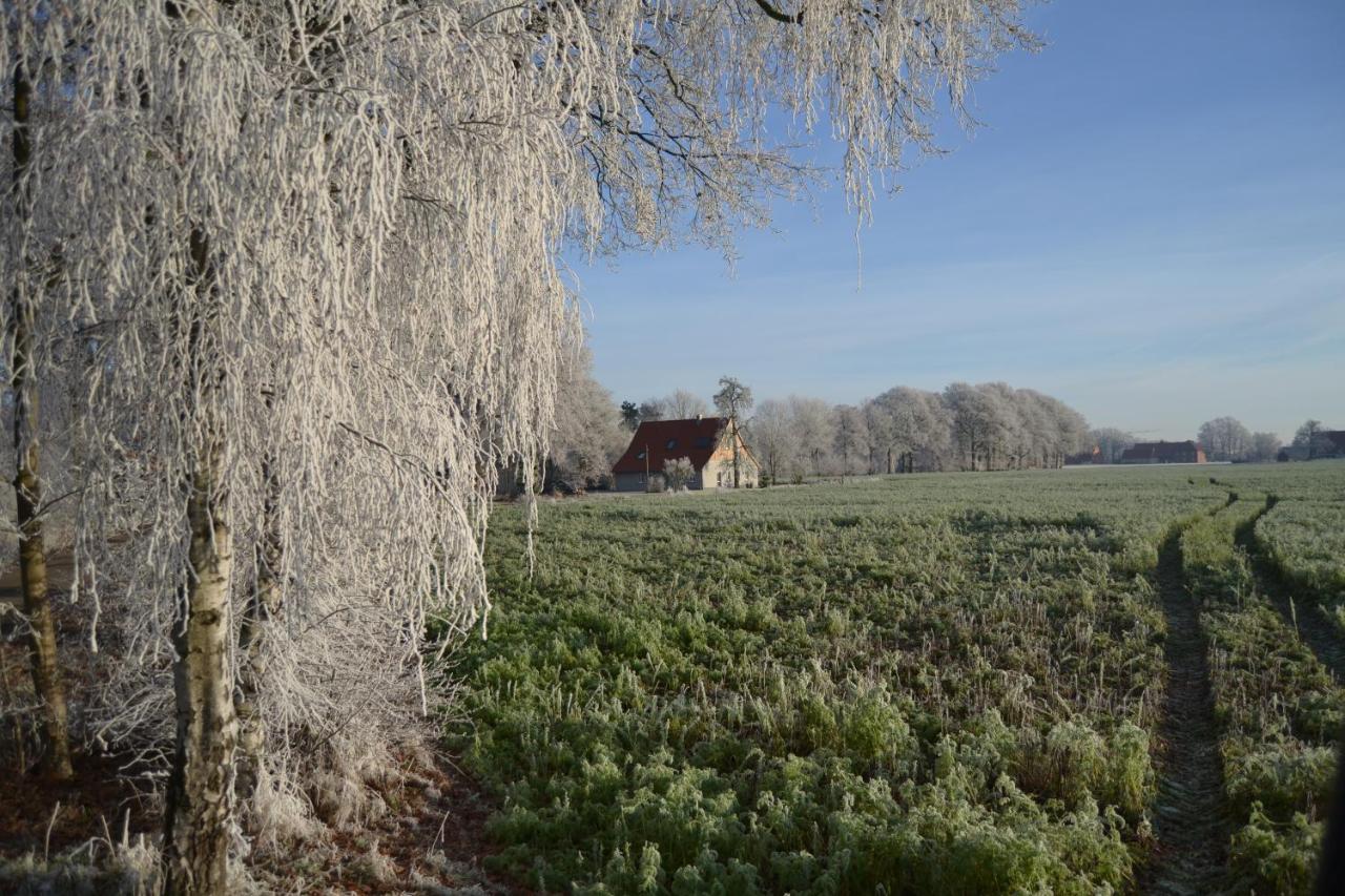 Zum Heuerling Ferienwohung Im Alten Stall Mit Sauna Versmold Buitenkant foto