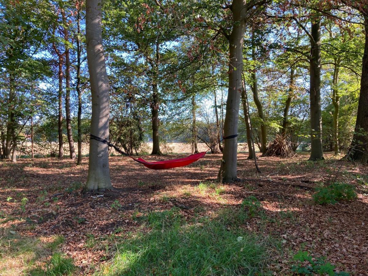 Zum Heuerling Ferienwohung Im Alten Stall Mit Sauna Versmold Buitenkant foto